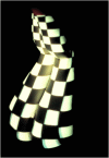 Schach